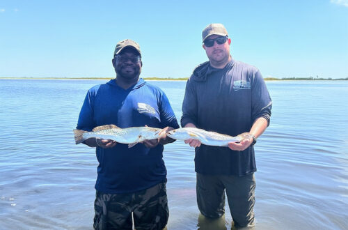 Will and Willy at the coast!